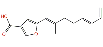 (E,E)-5-(2,6-Dimethyl-1,5,7-octatrienyl)-furan-3-carboxylic acid